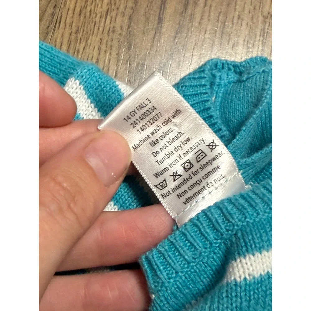 Gymboree Dress Girls Size 4T Teal Sweater Dress Bird Graphic Knit Bird Intarsia